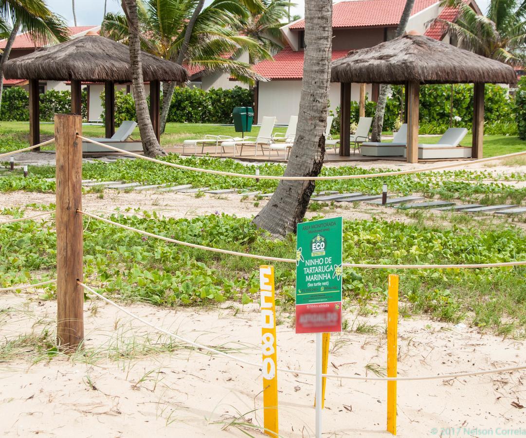 Apto Oka Beach Residence Порту-де-Галиньяш Экстерьер фото